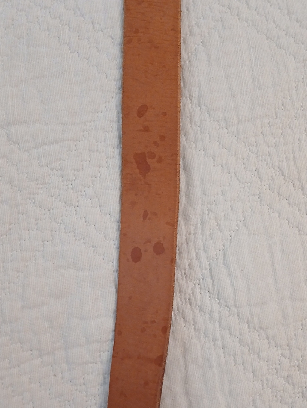 Leather Belt With Brass Buckle - Picture 7 of 8
